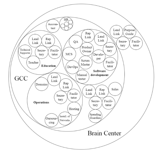 Fig. 1. Example of the company with Holacracy organisational structure [1]